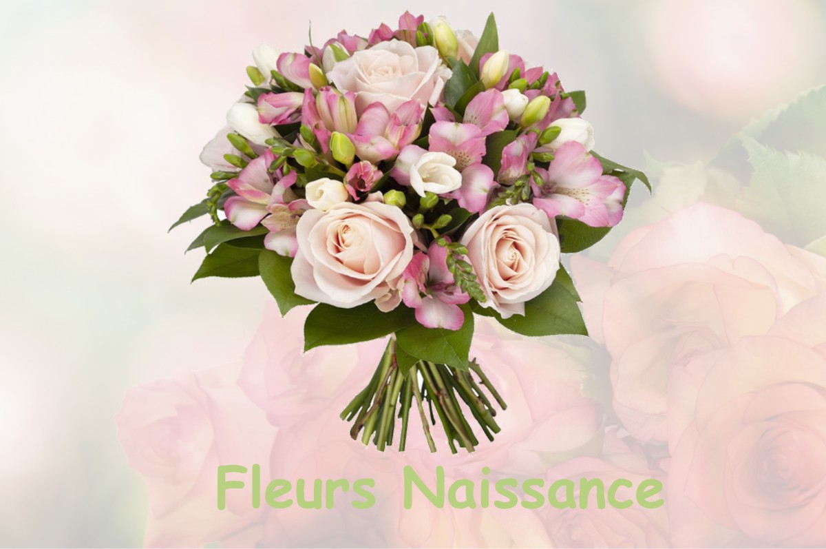 fleurs naissance BELVEDERE