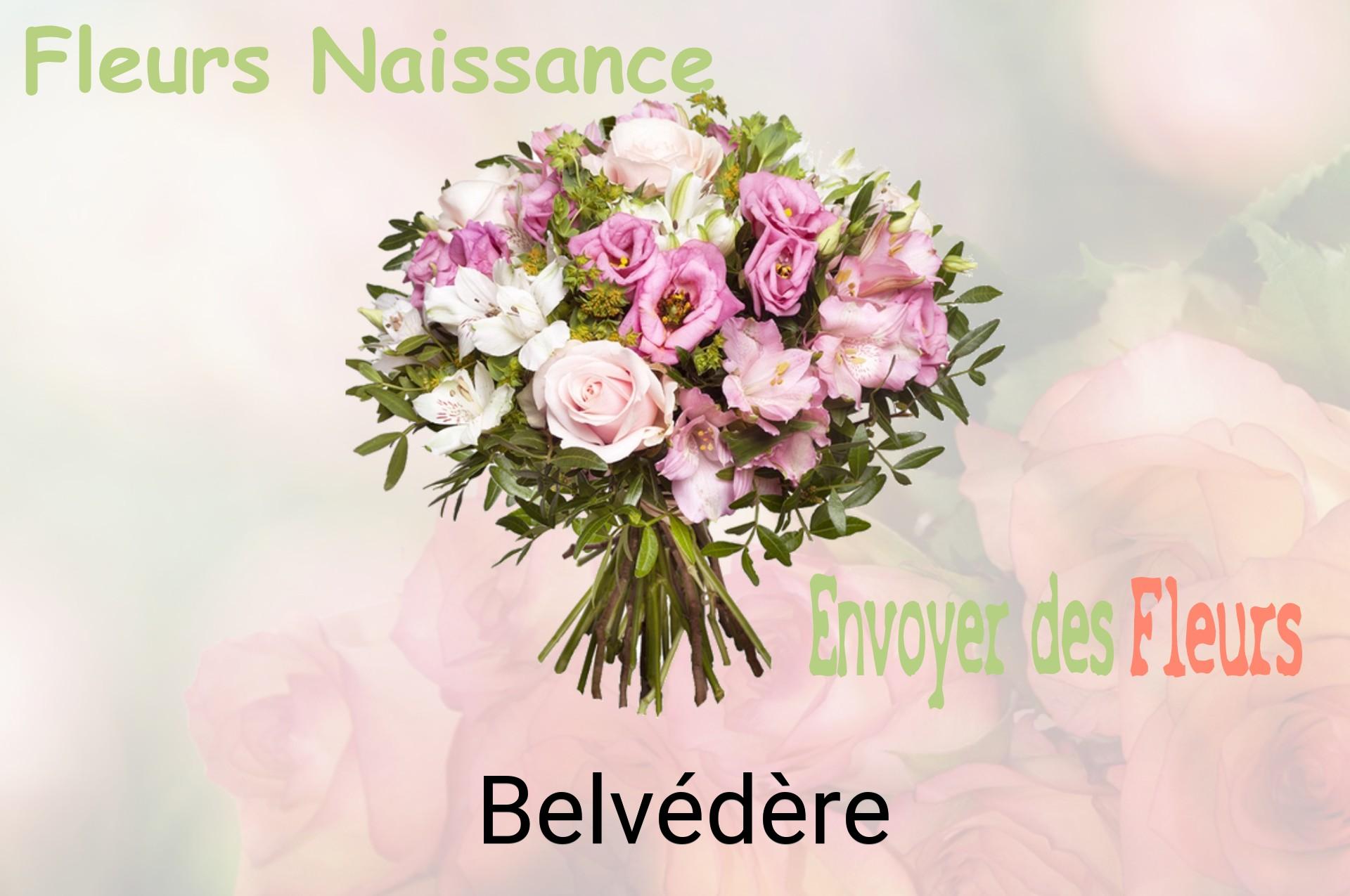 Bouquet de fleurs de naissance livré à Belvédère