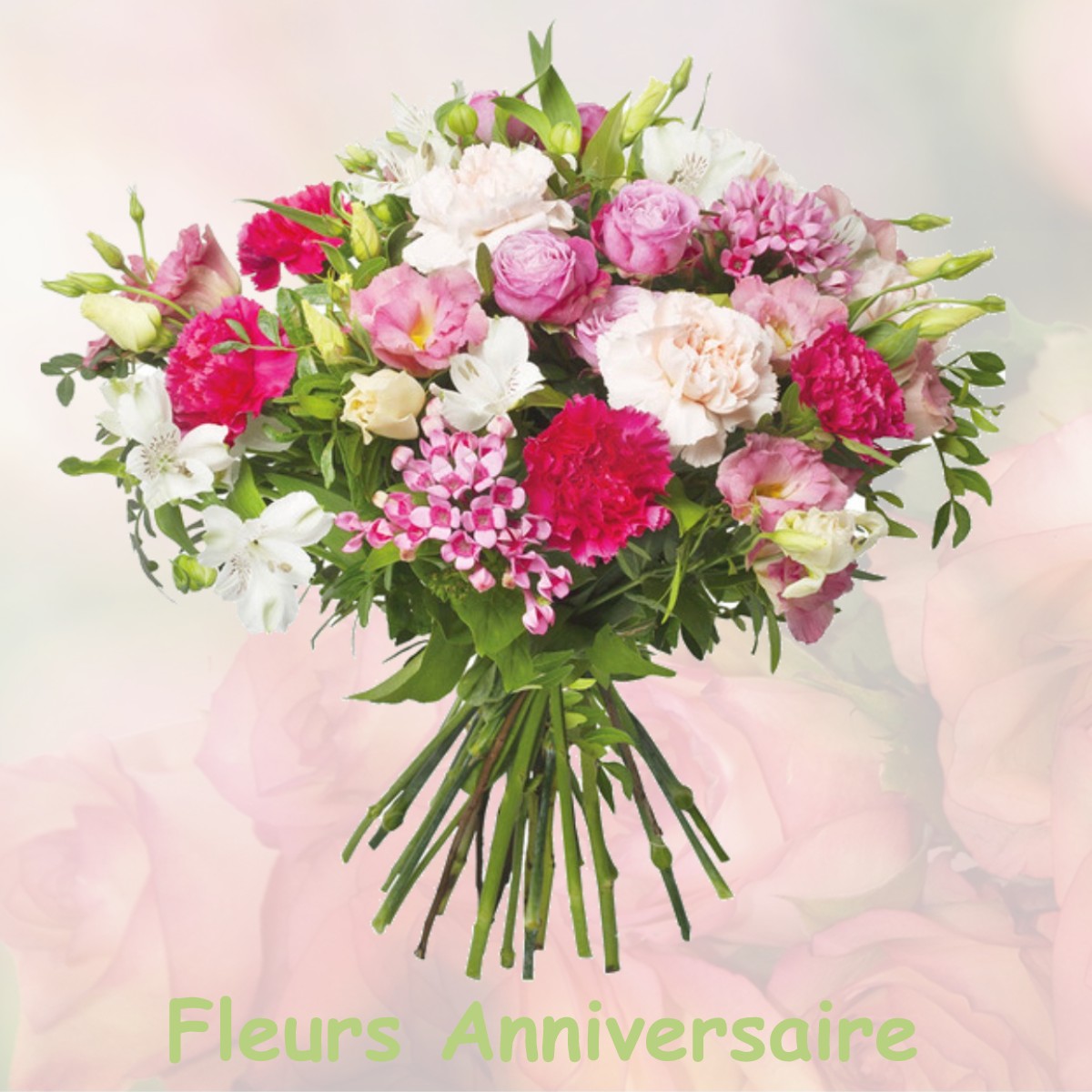 fleurs anniversaire BELVEDERE